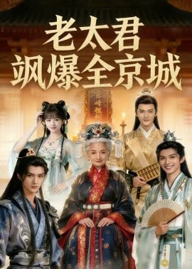 老太君飒爆全京城(全集)