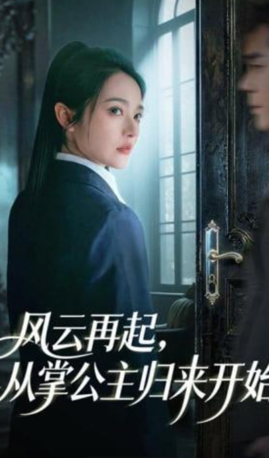 风云再起，从掌公主归来开始(全集)