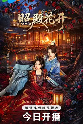 照殿花开(全集)