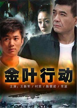 金叶行动第06集