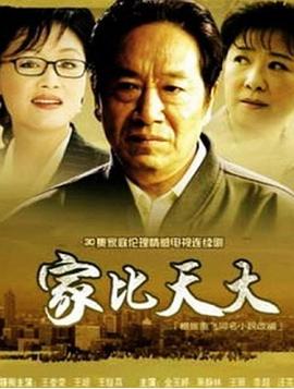 家比天大第04集