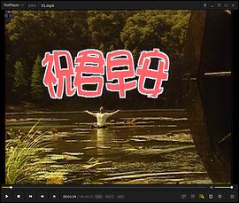 祝君早安国语第11集