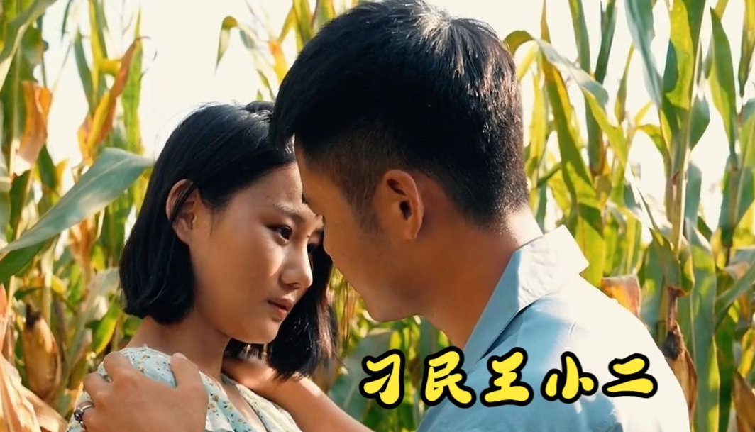 刁民王小二第41集