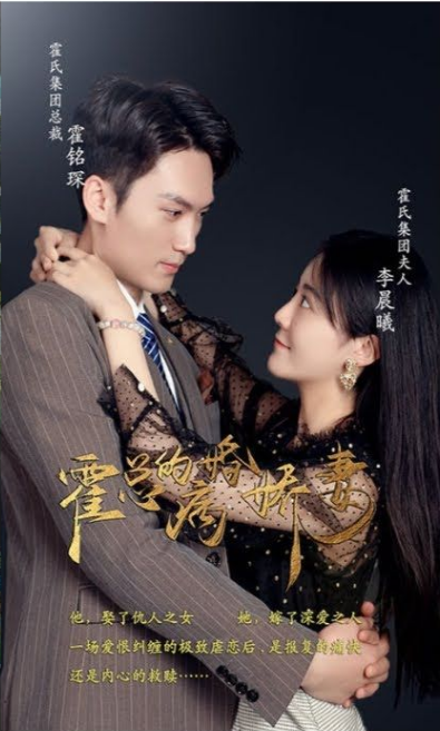 霍总的病婚娇妻第19集