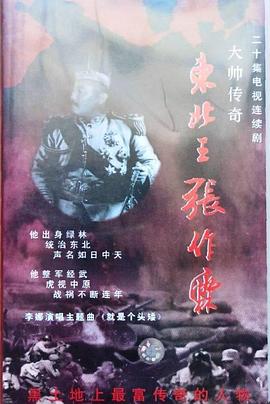 大帅传奇第09集