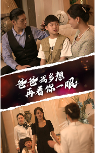 爸爸我多想再看你一眼第22集