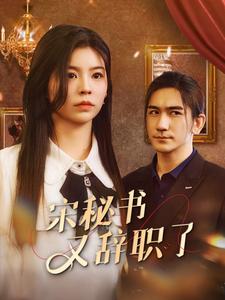 宋秘书又辞职了第02集