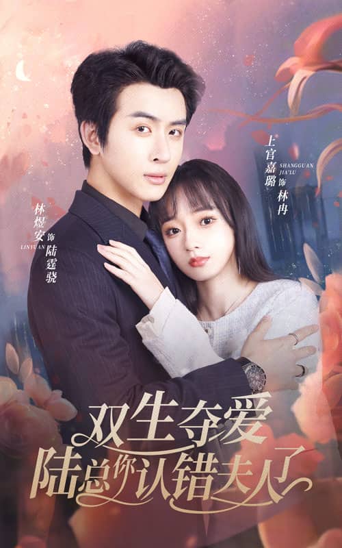 双生夺爱陆总你认错夫人了第01集