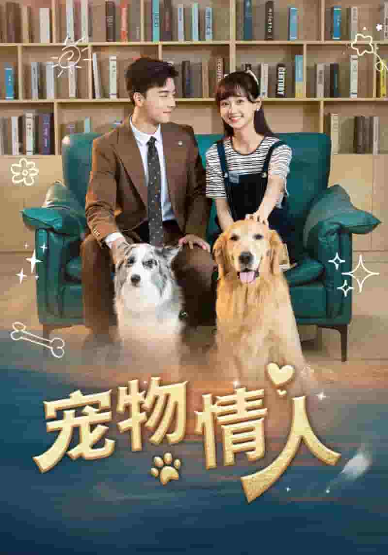 宠物情人短剧版第40集