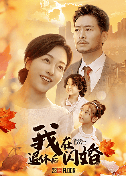 我在退休后闪婚第02集