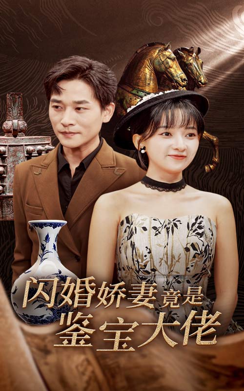 闪婚娇妻竟是鉴宝大佬第07集