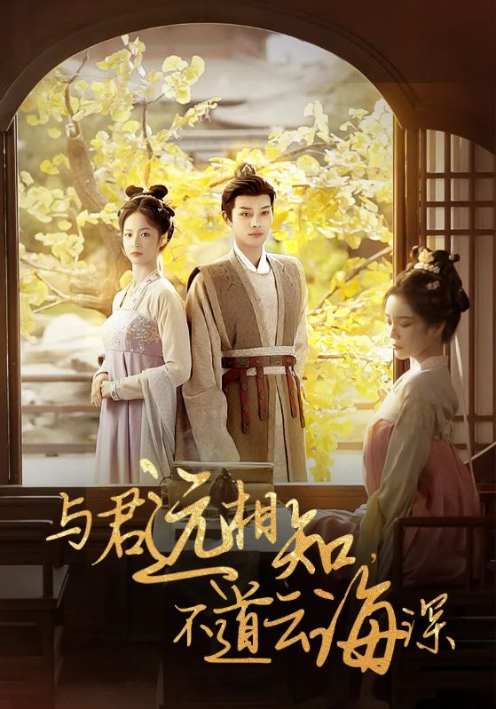 与君远相知不道云海深第18集