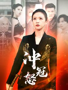 冲冠怒第82集