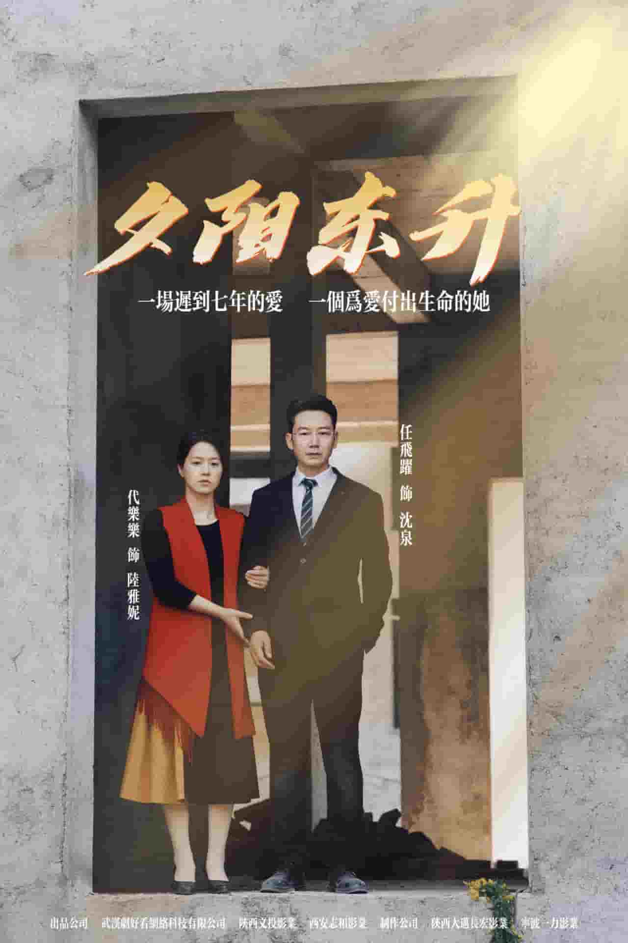 夕阳东升第28集
