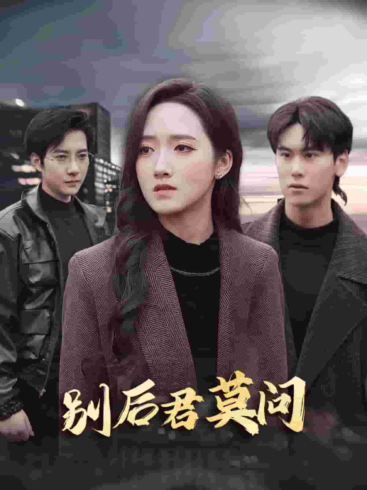别后悠悠君莫问第09集