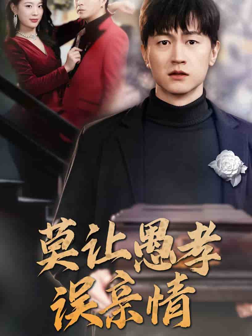 莫让愚孝误亲情第41集