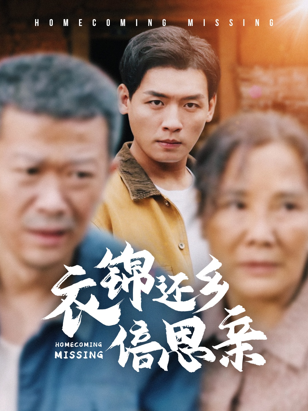 衣锦还乡倍思亲第36集