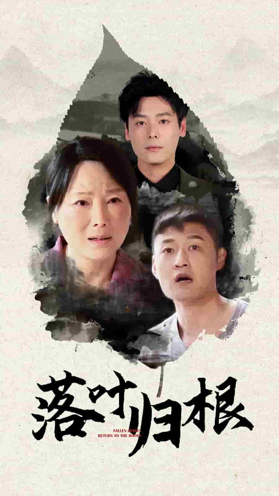 落叶归根（短剧版）第6集