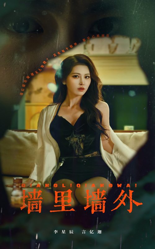 墙里墙外第11集