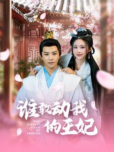 谁敢动我的王妃第51集