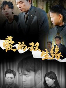爱的双生缘第29集