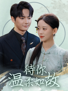 待你温柔如故第17集