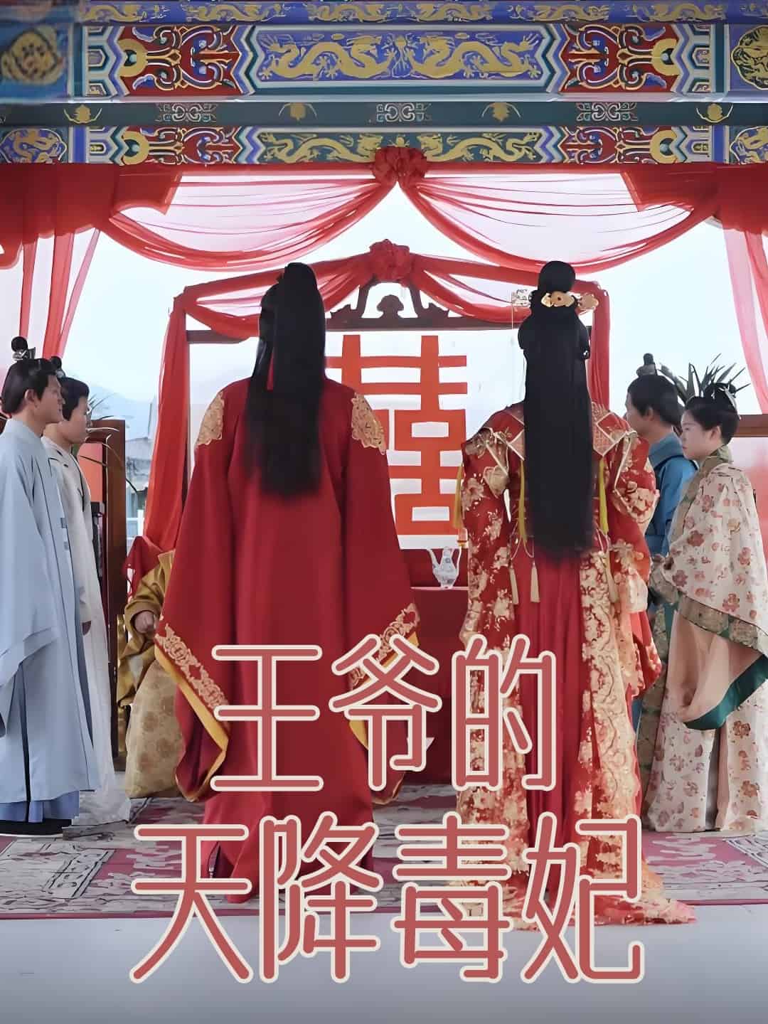王爷的天降毒妃第47集
