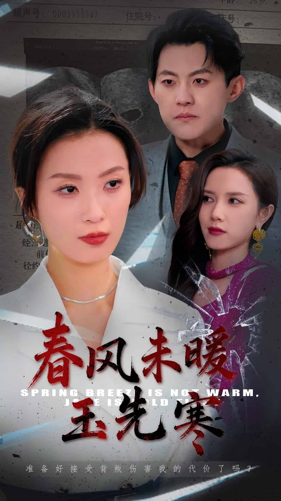 春风未暖玉先寒第4集