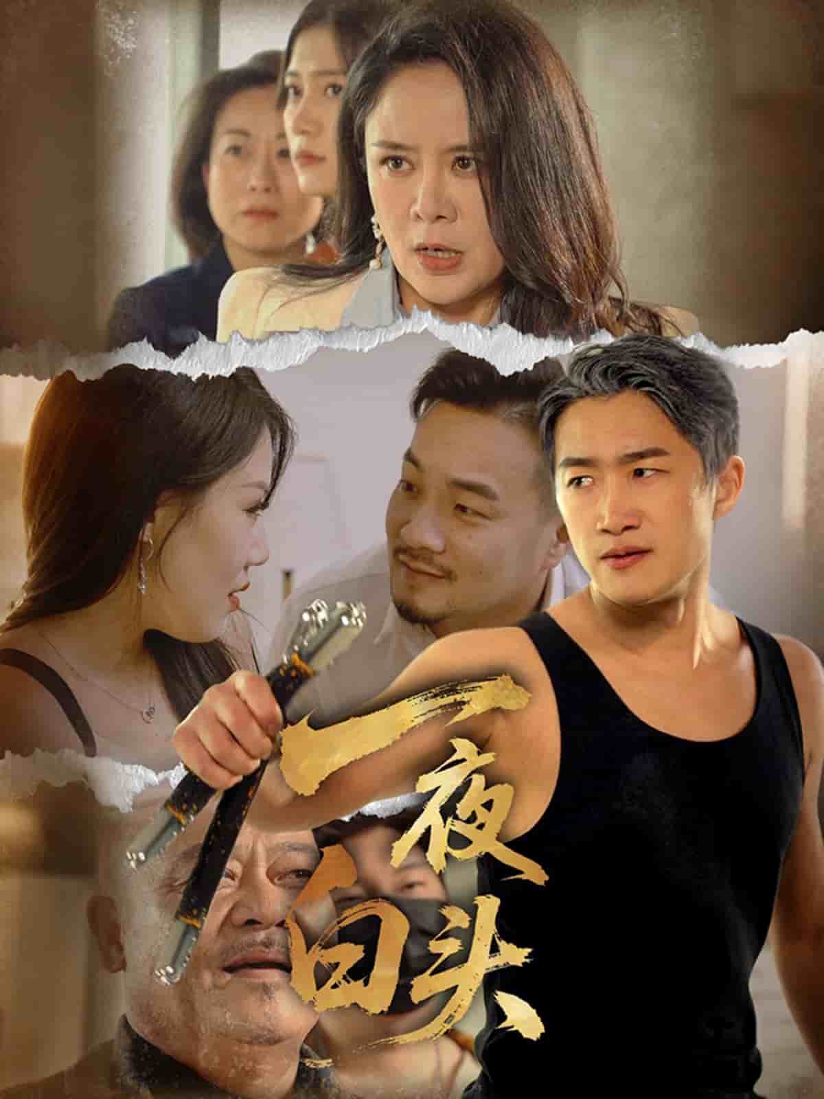 一夜白头第01集