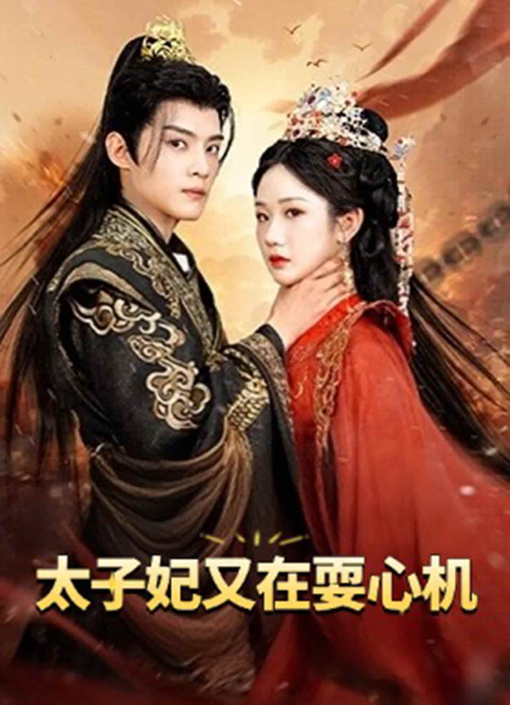 太子妃又在耍心机第28集