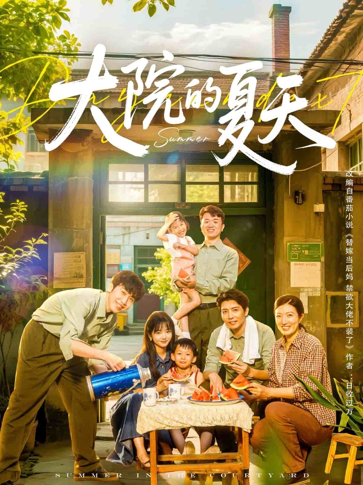 大院的夏天第1集