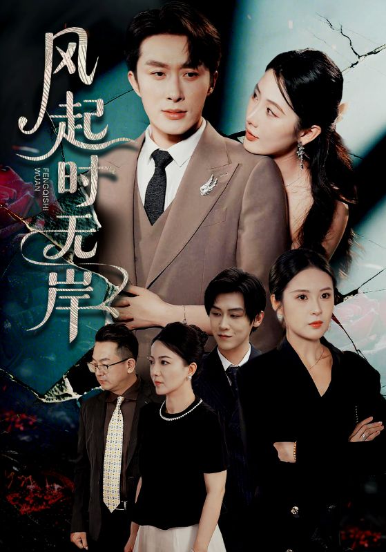 风起时无岸第7集
