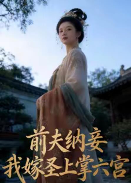 前夫纳妾，我嫁圣上掌六宫第18集