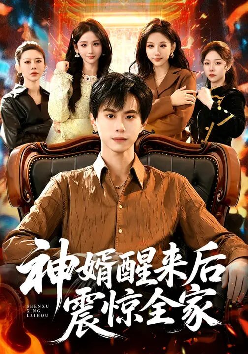 神婿醒来后震惊全家第78集
