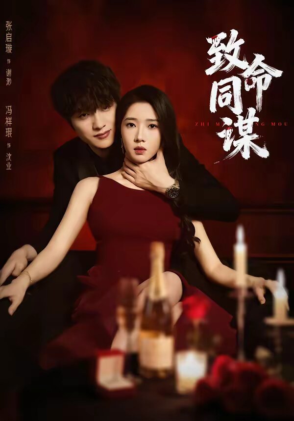 致命同谋第02集