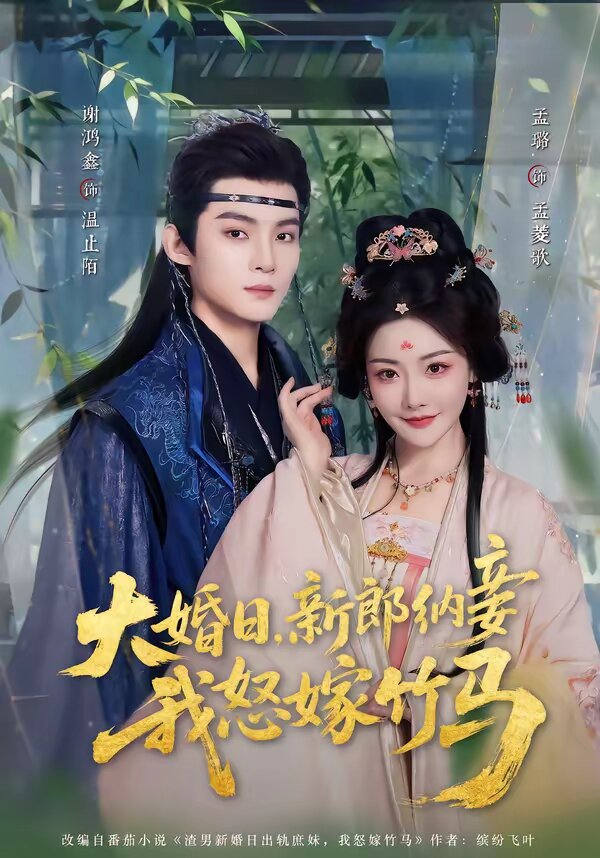 大婚日，新郎纳妾我怒嫁竹马第01集