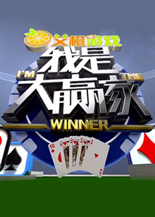 我是大赢家2017(全集)