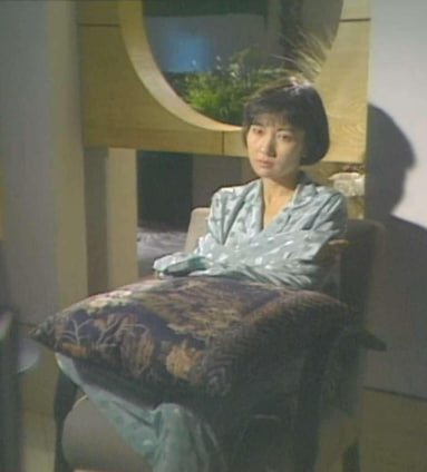 帝女情未了(全集)